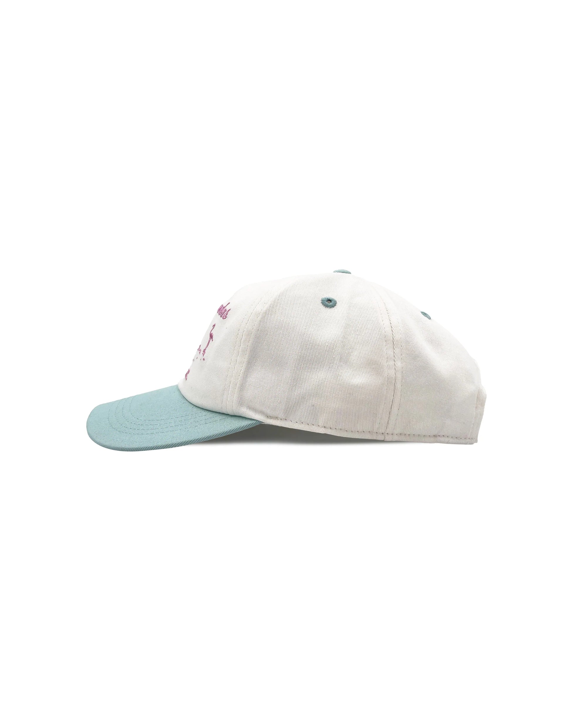 VISIT CAPS // LAS COLORADAS