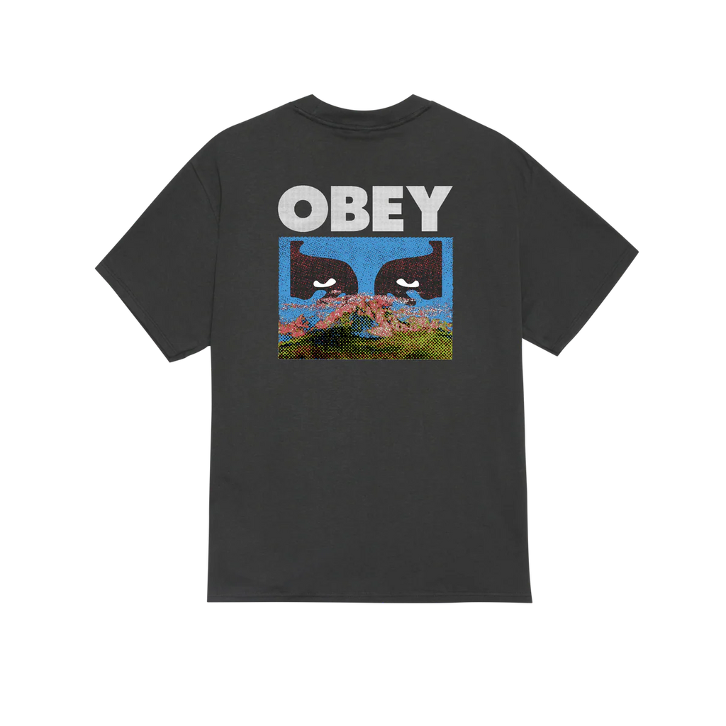 OBEY // IN A DIFFERENT PLACE T-SHIRT // VINTAGE BLACK