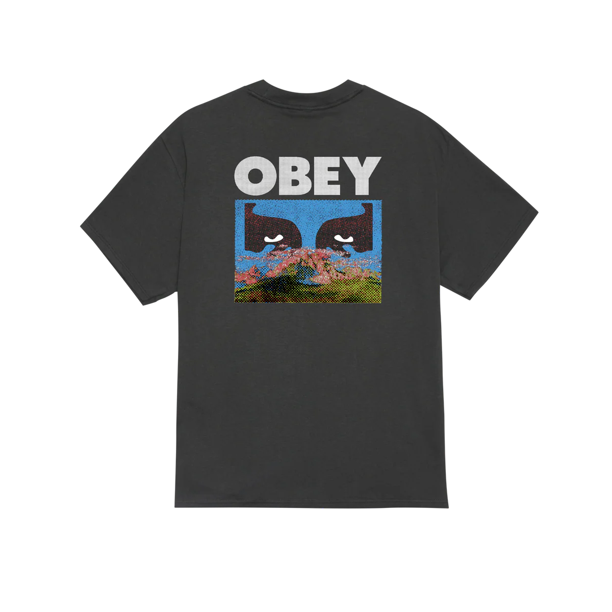 OBEY // IN A DIFFERENT PLACE T-SHIRT // VINTAGE BLACK