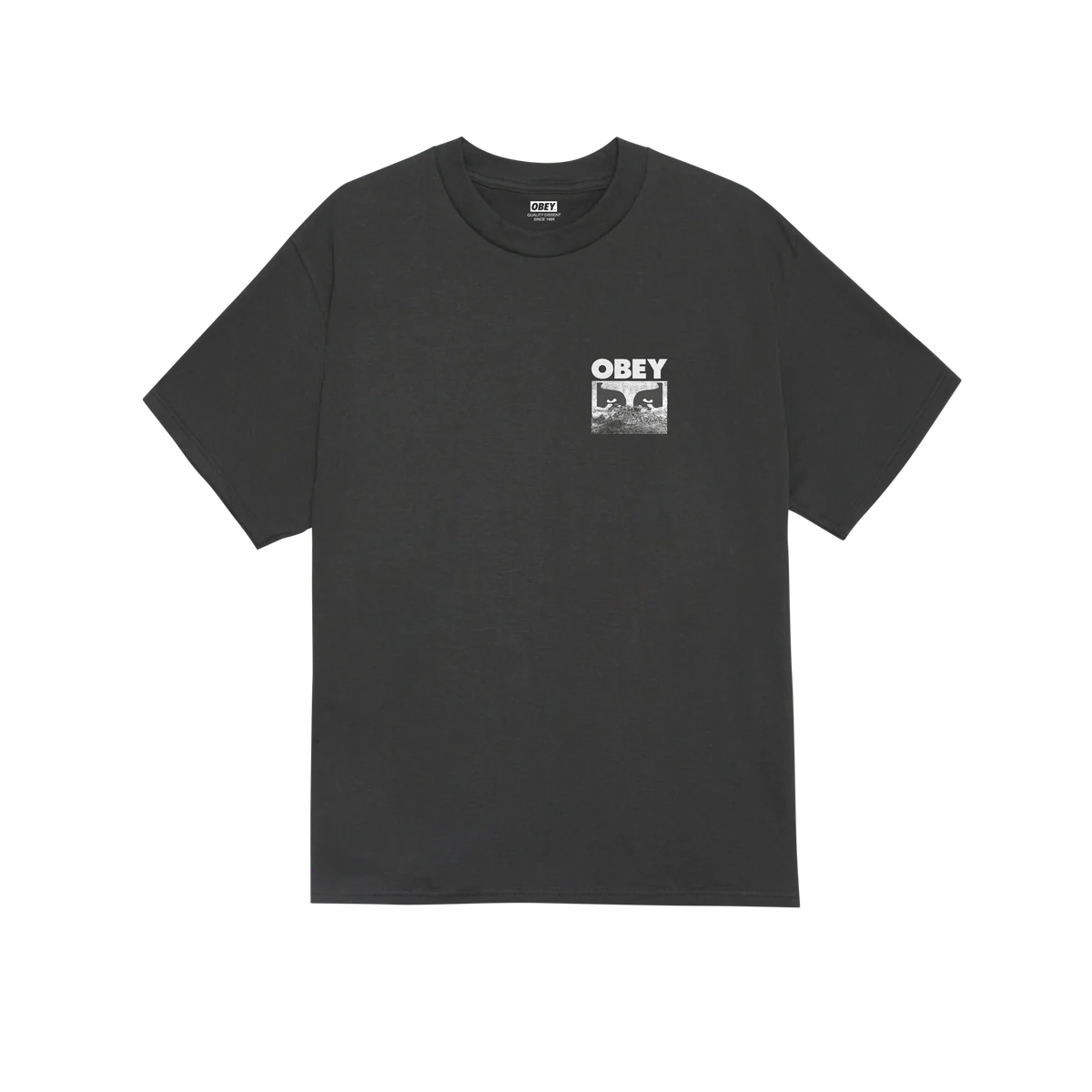 OBEY // IN A DIFFERENT PLACE T-SHIRT // VINTAGE BLACK