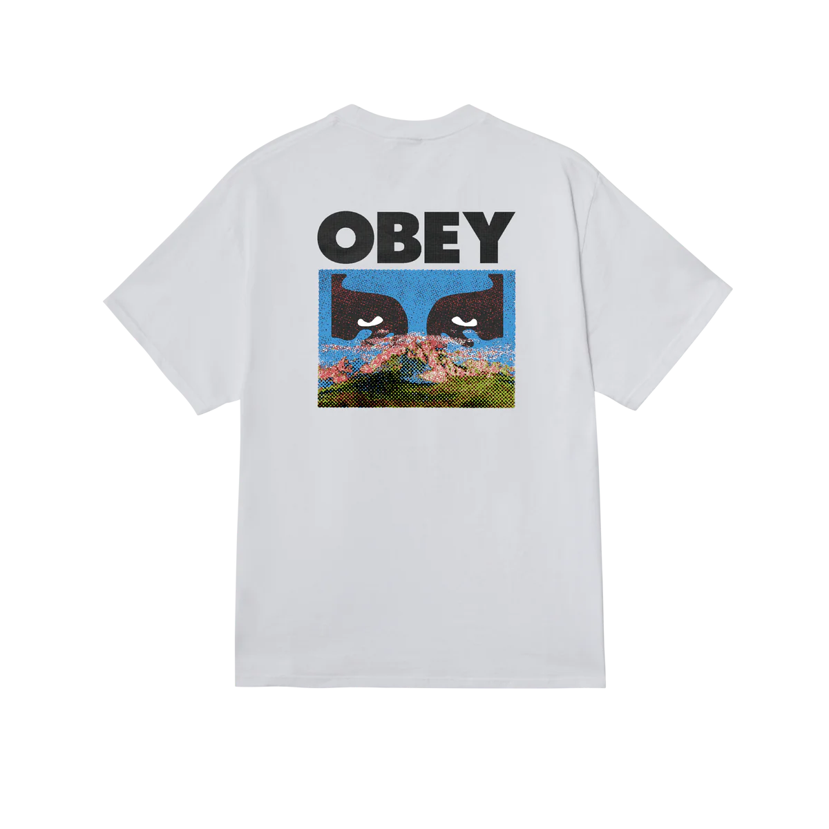 OBEY // IN A DIFFERENT PLACE T-SHIRT // WHITE